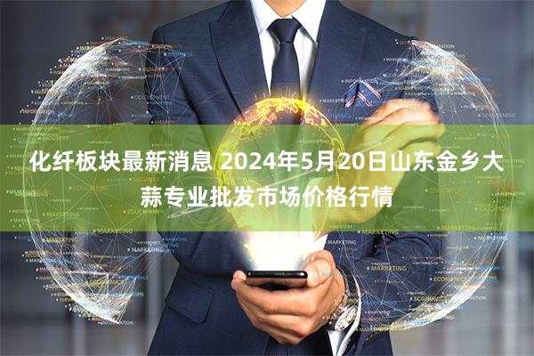 化纤板块最新消息 2024年5月20日山东金乡大蒜专业批发市场价格行情