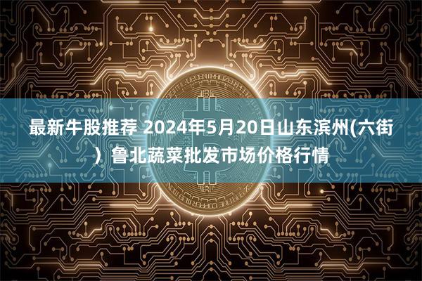 最新牛股推荐 2024年5月20日山东滨州(六街）鲁北蔬