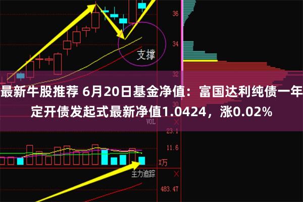 最新牛股推荐 6月20日基金净值：富国达利纯债一年定开债发起