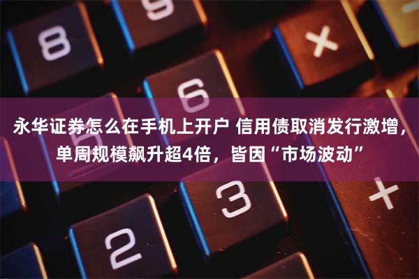 永华证券怎么在手机上开户 信用债取消发行激增，单周规模飙升超