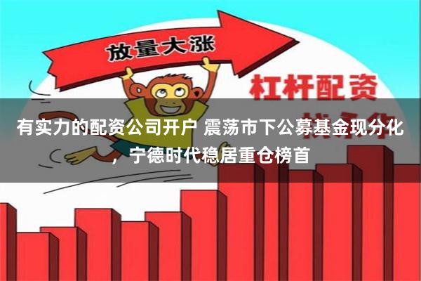 有实力的配资公司开户 震荡市下公募基金现分化，宁德时代稳