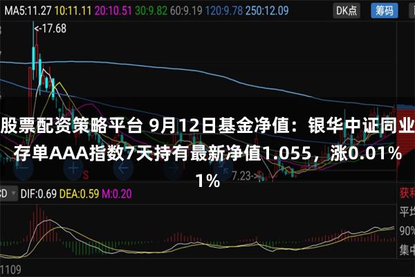 股票配资策略平台 9月12日基金净值：银华中证同业存单A