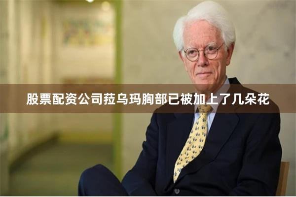 股票配资公司菈乌玛胸部已被加上了几朵花